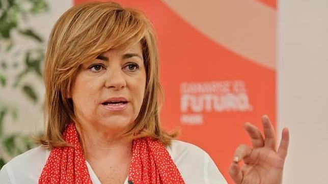 Los socialistas derogarán la reforma educativa de Wert si llegan al Gobierno