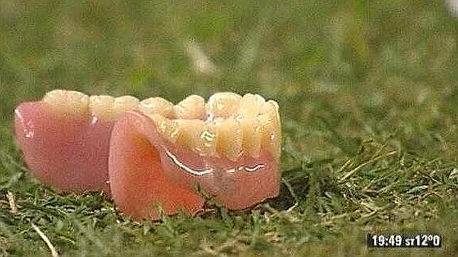 Los cinco objetos más sorprendentes arrojados a un campo de fútbol