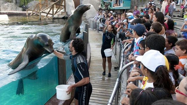 Pegan y atan a un vigilante de Faunia y se llevan 63.000 euros