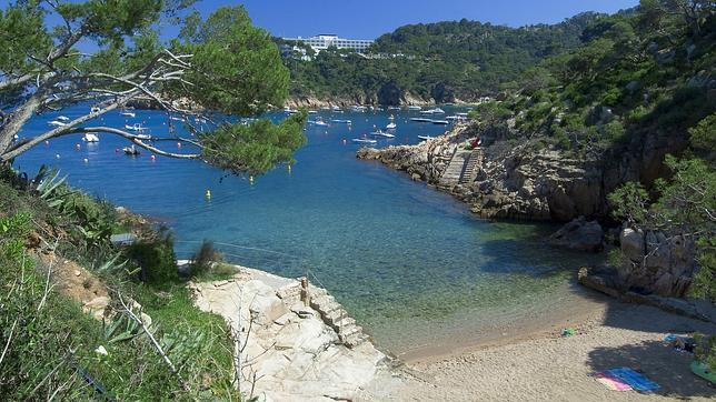 Aiguablava, en Gerona, una cala construida con pinos y profundidad marina semitransparente