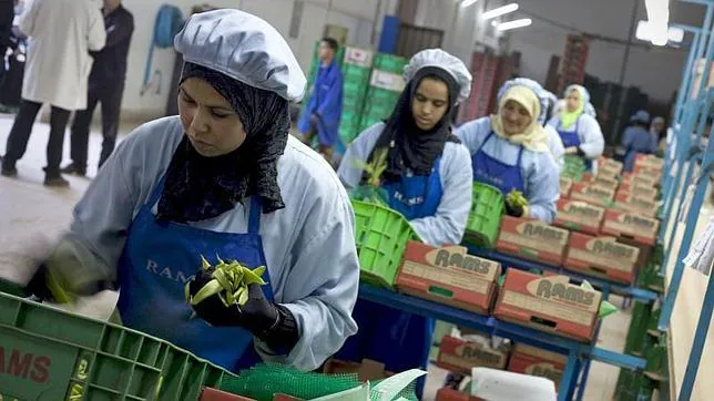 Un número creciente de españoles encuentra trabajo en Marruecos