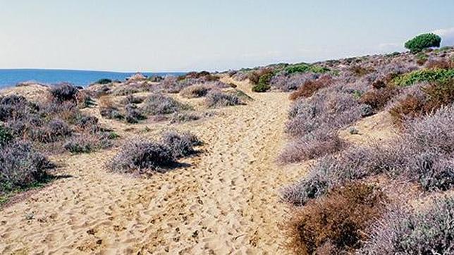 Monumento Natural Dunas de Artola
