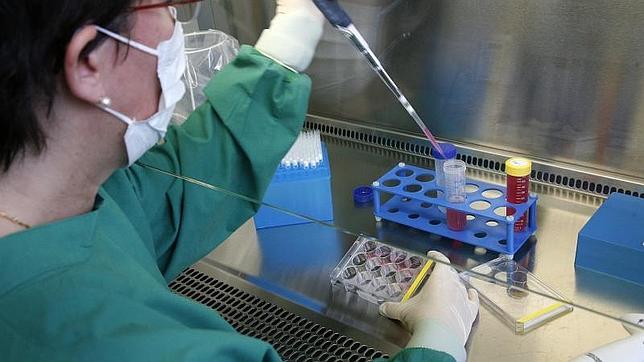 Descubren el mecanismo que explica la metástasis