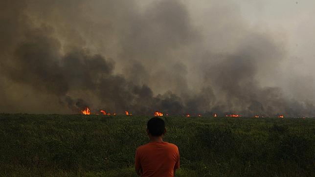 Singapur se ahoga por la quema ilegal de terrenos para cultivo en Indonesia