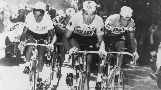 Eddy Merckx flanqueado por Luis Ocaña (izquierda) y Raymond Poulidor