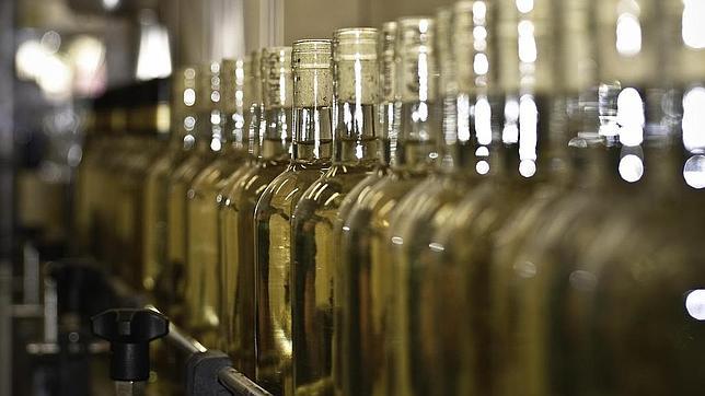 Blancos, rosados y cavas: cuál elegir y cómo tomarlos