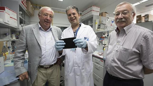 Patentan un biomaterial que genera «huesos artificiales» con células madre