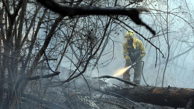 El fuego amenaza un pinar de Segovia