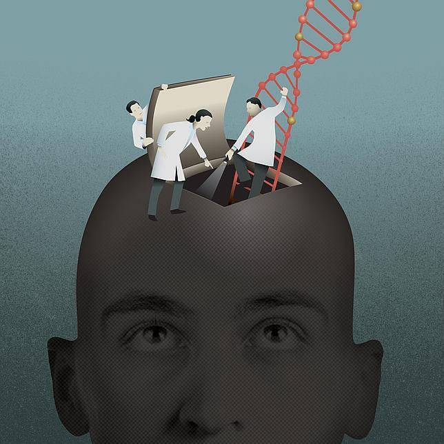 La rebeldía adolescente se debe a una reforma especial del cerebro