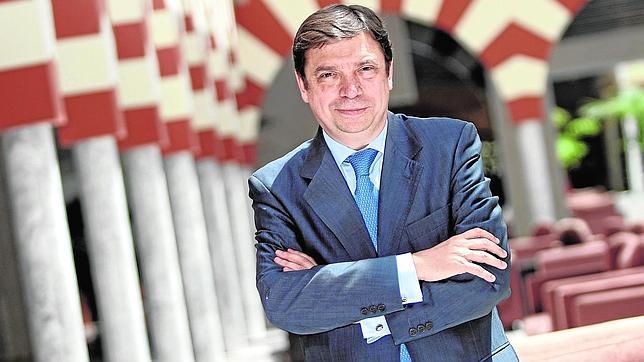 Luis Planas: «No tengo a mi favor el aparato socialista, pero trataré de ganar»