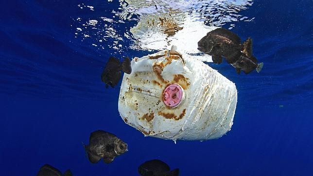 Coto a la basura marina y a los microplásticos a partir de 2014