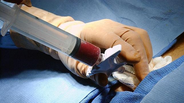 La donación de médula ósea en la lucha contra la leucemia