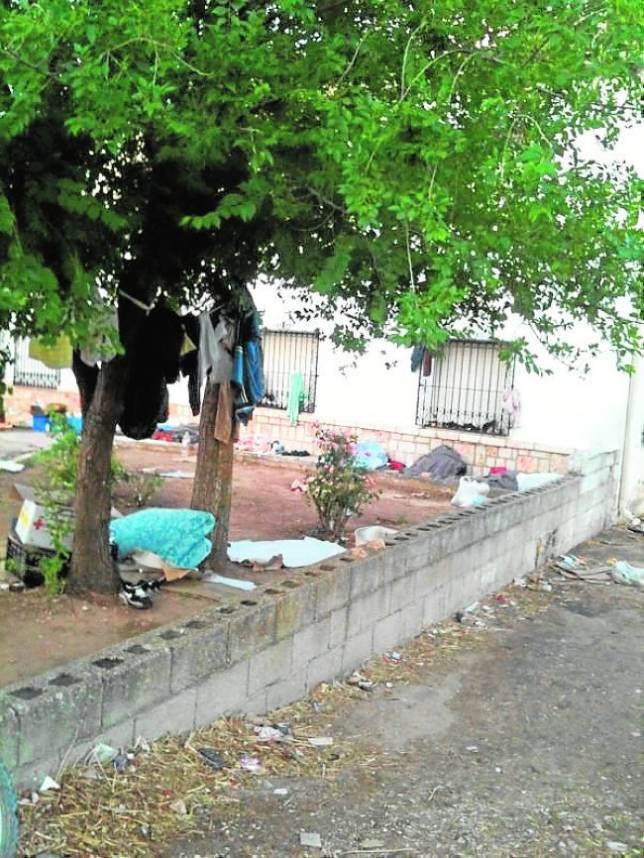 El ajo atrae a los temporeros