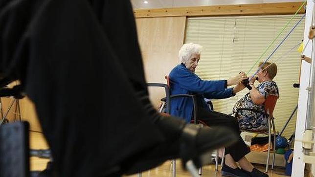 Identifican un gen que por primera vez vincula función neuronal y alzhéimer