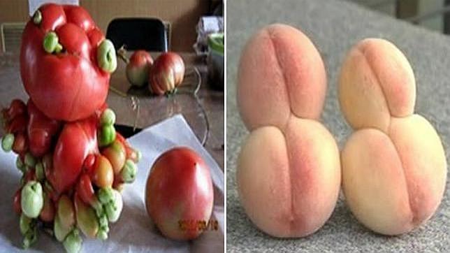 Un bloguero recopila imágenes de vegetales mutados tras el accidente de Fukushima