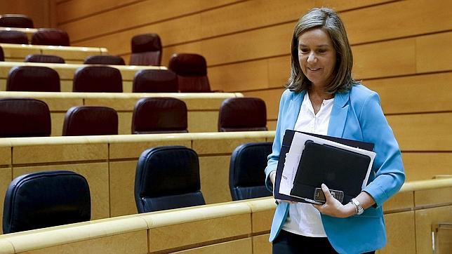 Mato estudia ampliar la información estadística sobre violencia de género