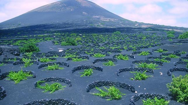 El increíble paisaje lunar de La Geria, en Lanzarote