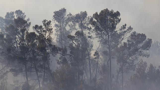 Mallorca, pendiente del descontrolado incendio de Andratx