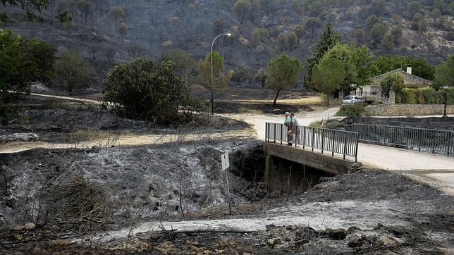 Se declara un nuevo incendio en Guadalajara, el sexto en una semana