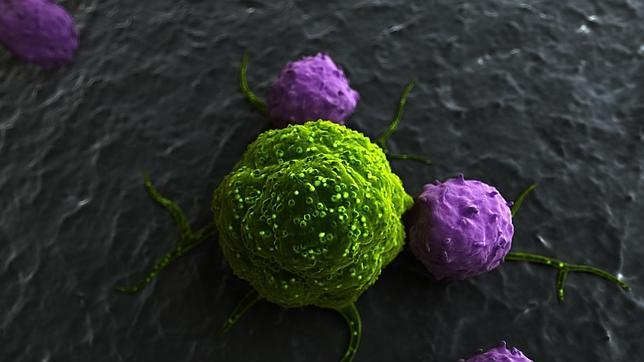 El complejo origen del cáncer