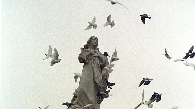 Palomas «zombis» en Moscú