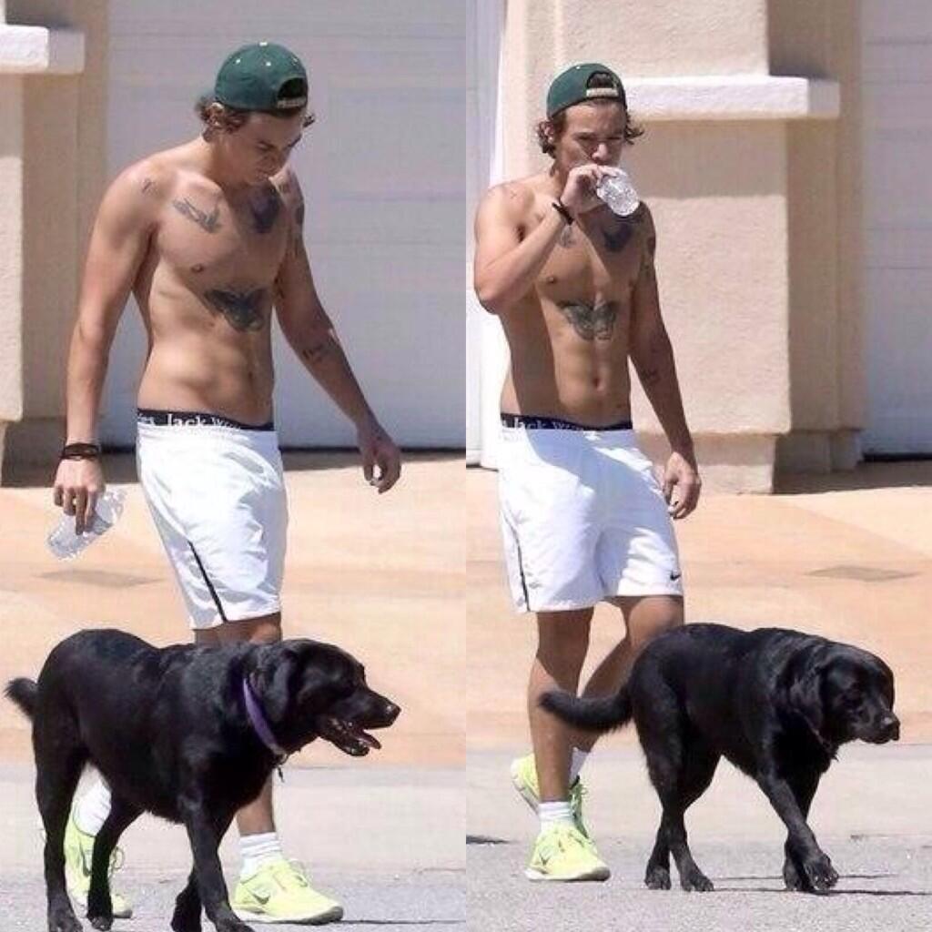 Harry Styles cuando sale a pasear a su perro