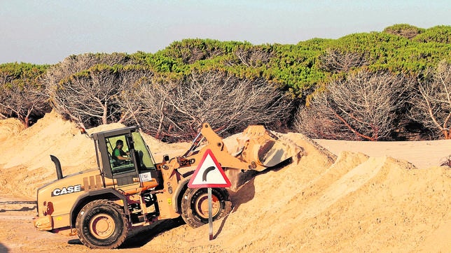 Extracción de arena de la duna de Valdevaqueros (Tarifa) con destino Gibraltar