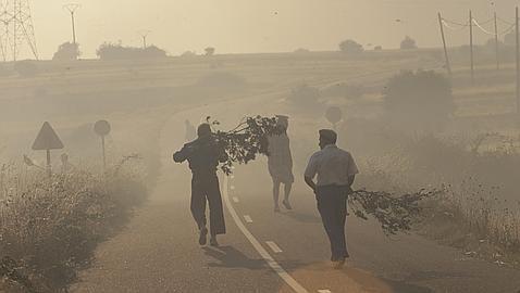 Tres fuegos amenazan Salamanca, Zamora y León