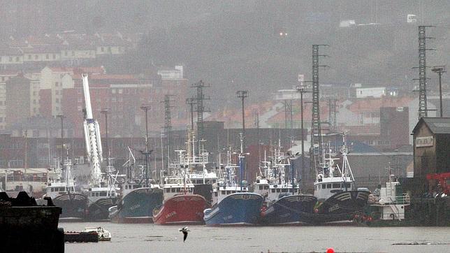 La flota de pesqueros de Bermeo atracada en el Puerto de Bilbao