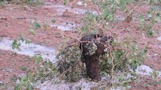 Toledo, Cuenca y Albacete, las provincias más afectadas por el temporal