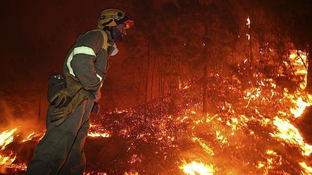 Más de 170 imputados relacionados con incendios forestales en lo que va de año