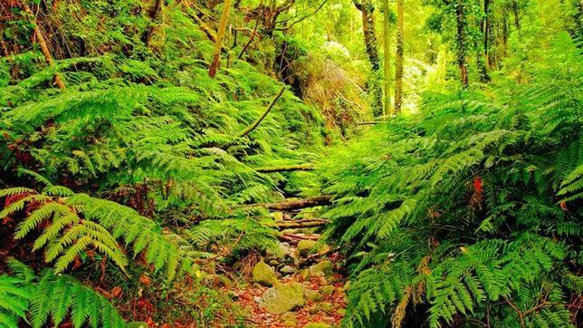 Diez rutas para hacer senderismo en Canarias