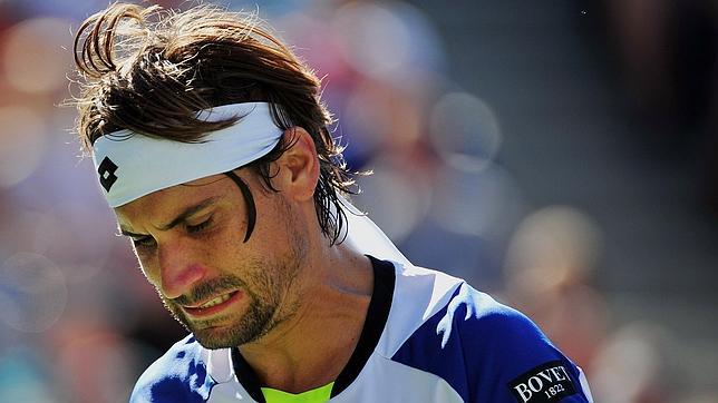 David Ferrer muere en la orilla