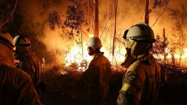 Galicia registró 37 incendios por día en agosto