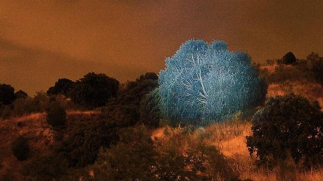 «El libro de las tierras secretas», de Sebas Beyró, en la nueva Liebre