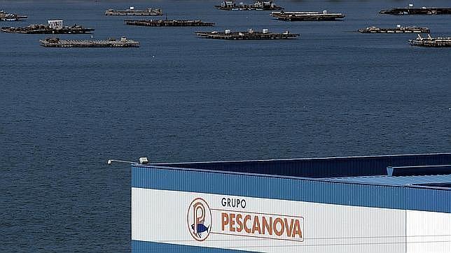 Batalla de candidaturas para elegir hoy a la nueva cúpula que reflote Pescanova