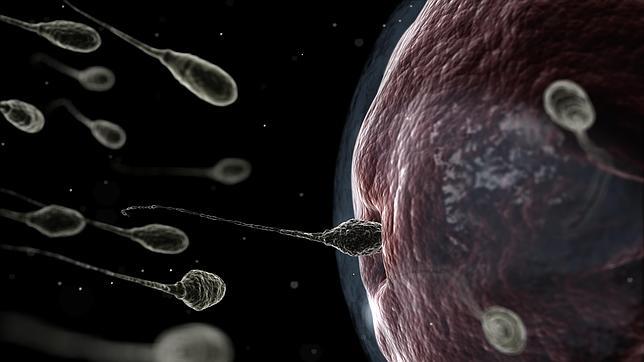 Tres cuartas partes de los varones del Norte de España acudirían al especialista si no logran un embarazo