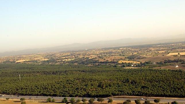 El Parque Regional del Sureste a vista de pájaro