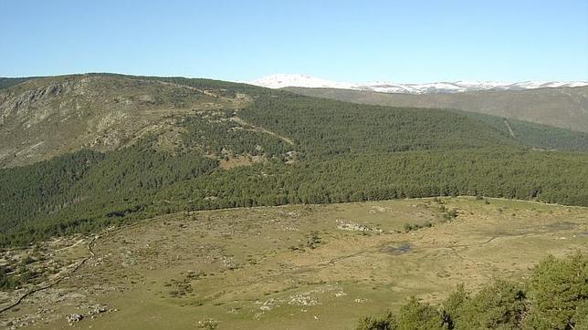 Panorámica del puerto de Canencia