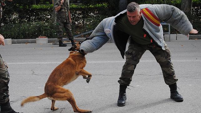 La Armada fondea en el Retiro con actividades para pequeños y mayores