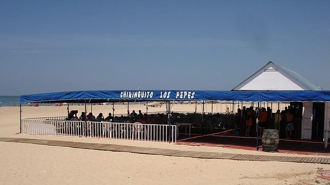 Cinco establecimientos donde tomarse un pincho respetuoso con el medio ambiente