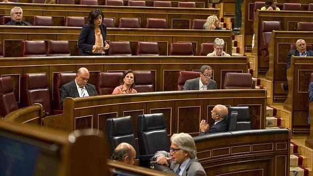 El Congreso avala las actividades extraparlamentarias de diez diputados