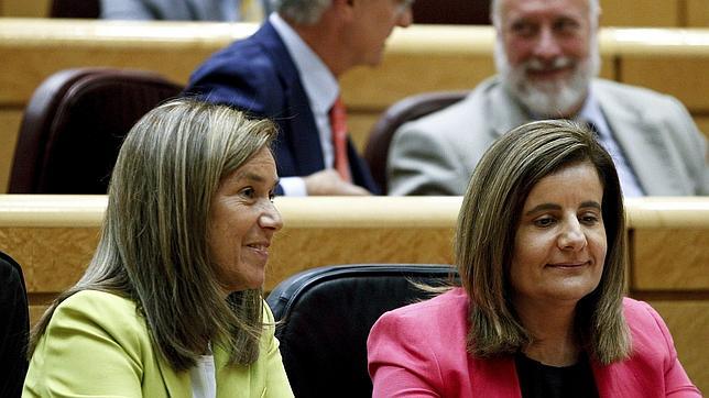 El presupuesto de Sanidad no volverá a sufrir ajustes ni reformas