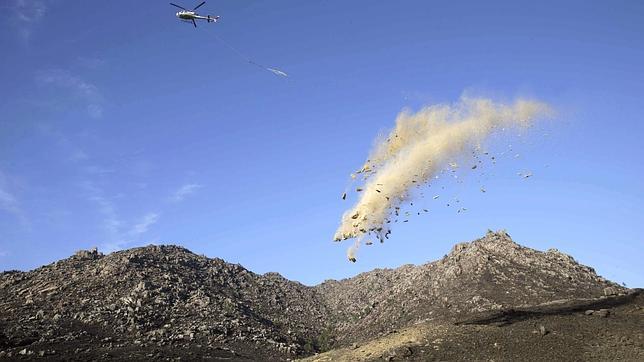 «Helimulching»: recuperar el monte Pindo arrojando paja desde un helicóptero