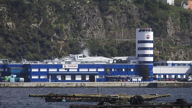 BDO, revocada por el anterior consejo de Pescanova, volverá a auditar las cuentas