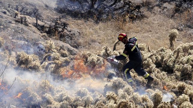 Quemas controladas en el Valle para acabar con la invasión del cactus mexicano