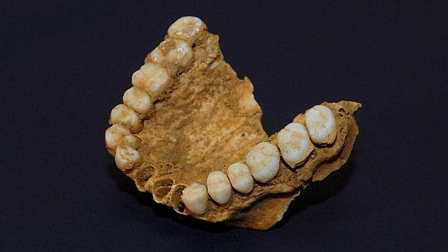 Los neandertales ya usaban palillos de dientes