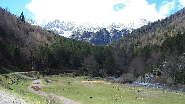 Uno de los senderos de la Selva de Oza