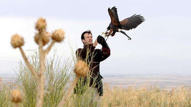 El cazador más elegante y ecológico