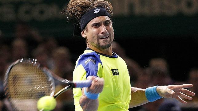 David Ferrer, durante la final de París-Bercy